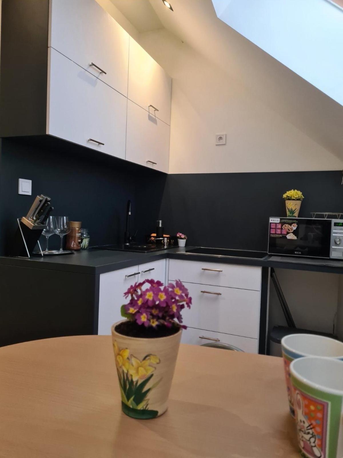 Apartment Zvonárska Košice Esterno foto